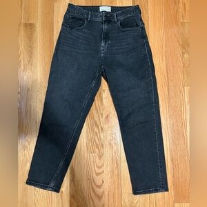 Everlane The Curvy Cheeky Ankle Jeans